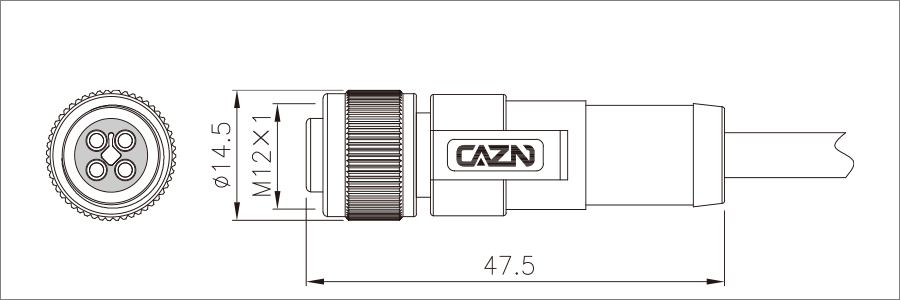 M12直式孔型成型插头-电源型-900x300-1.png